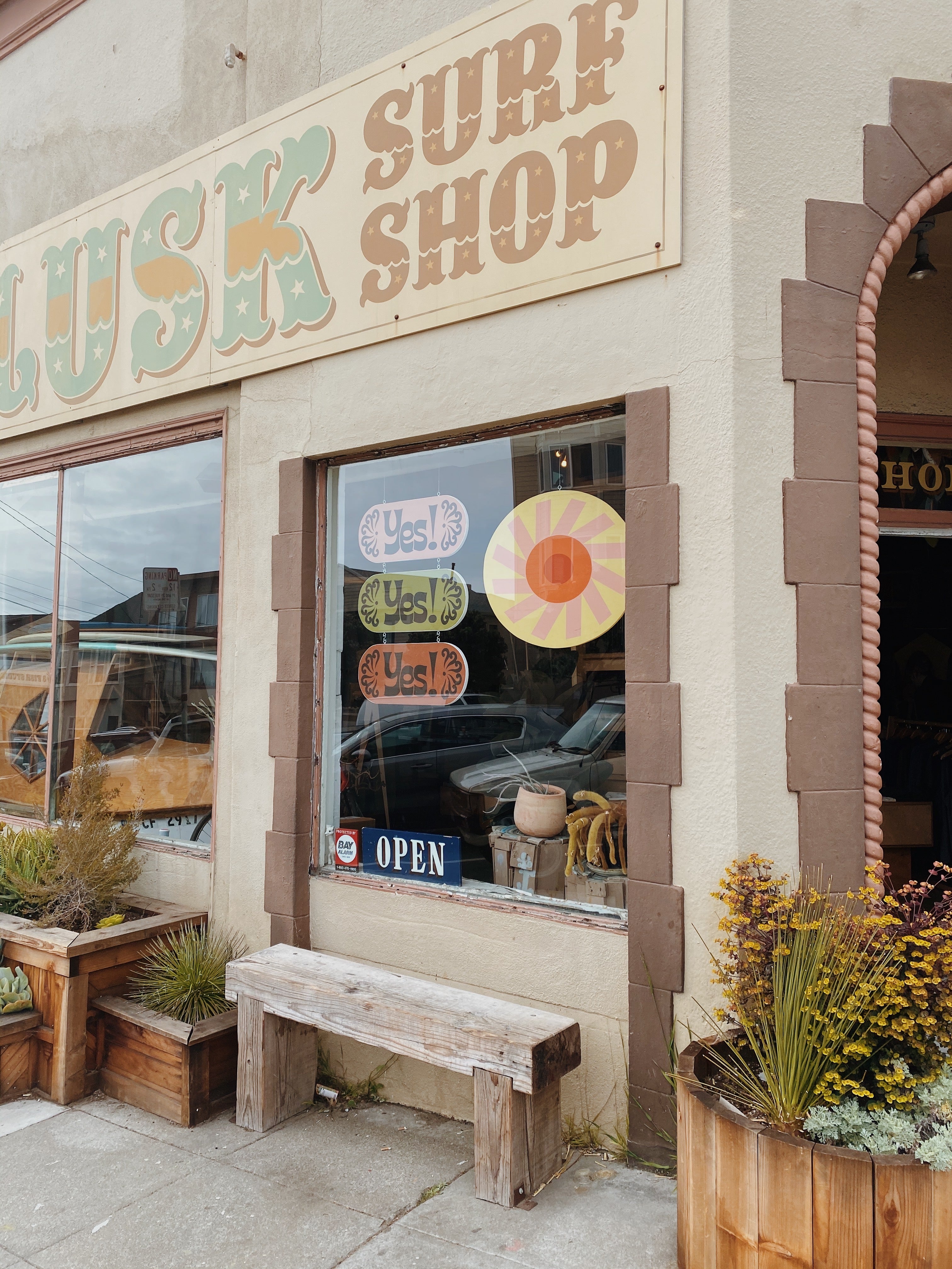 Mollusk Surf Shop – (BY) ALEISHA