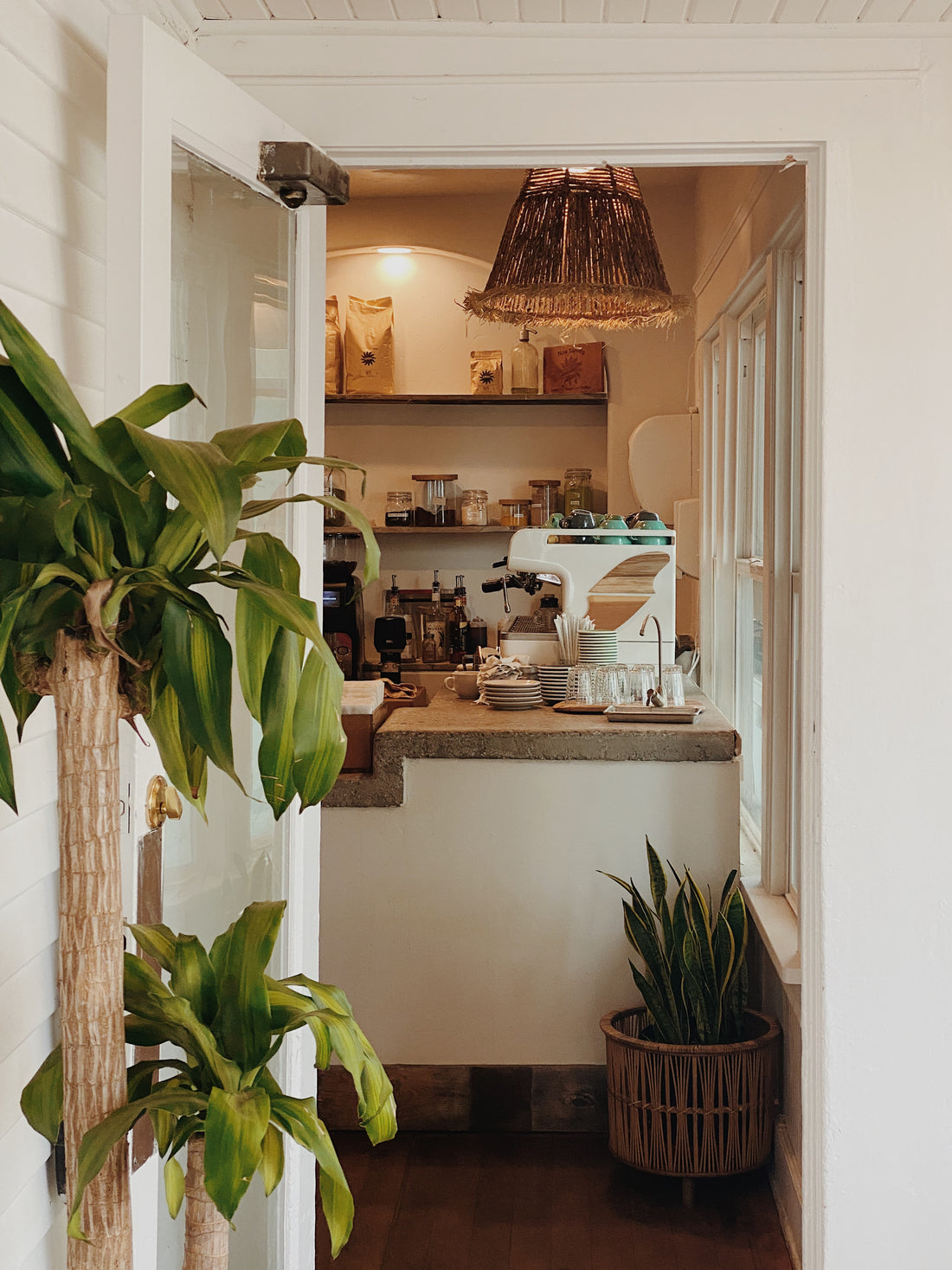 Palmys Café