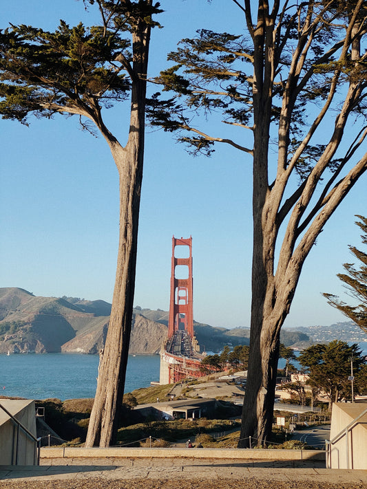 San Francisco City Guide