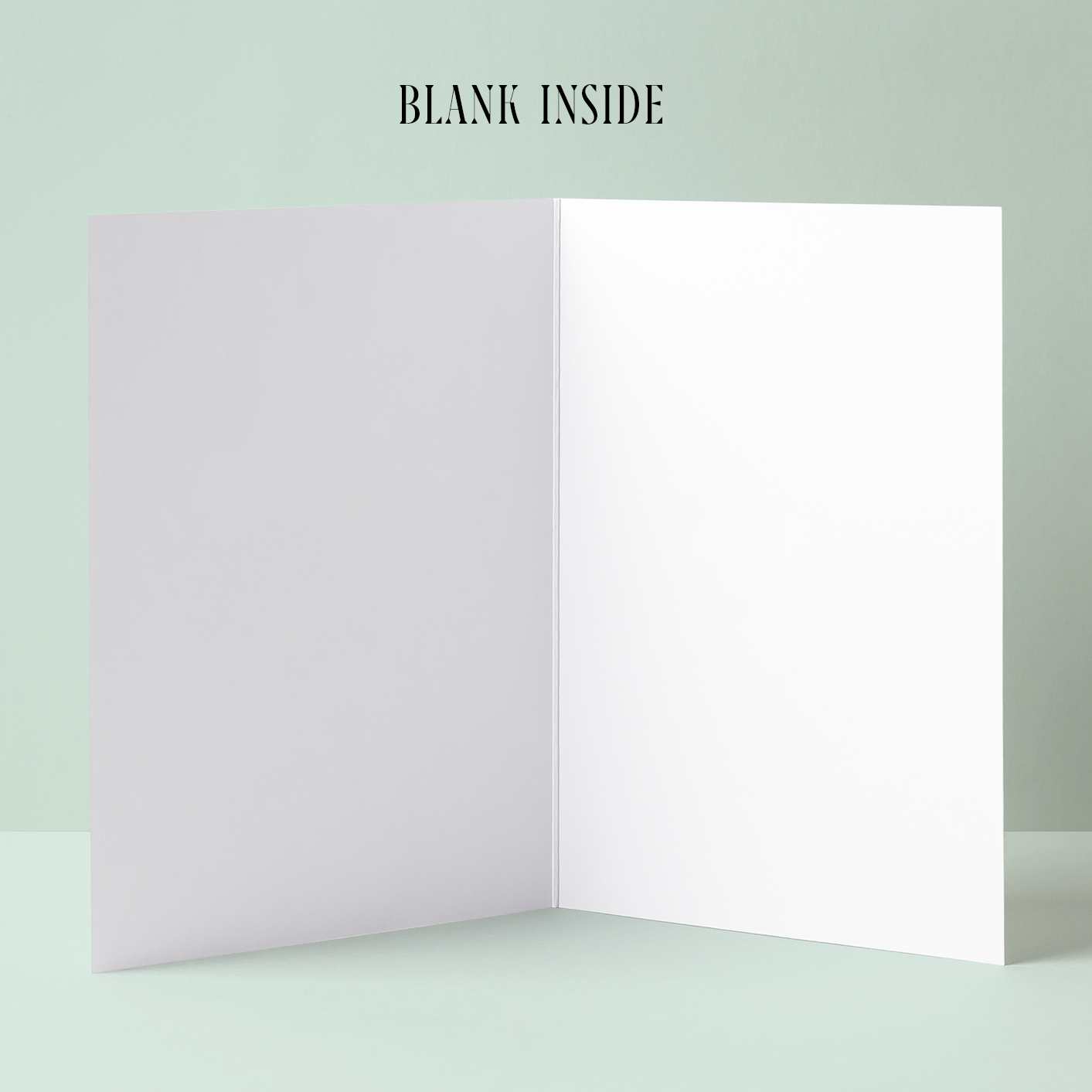 Saint Paul (Minnesota) Map Greeting Card