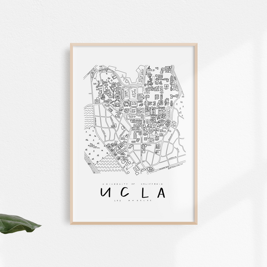 Black and white map print of UCLA campus displayed in a frame, placed against a wall with a plant beside it.
