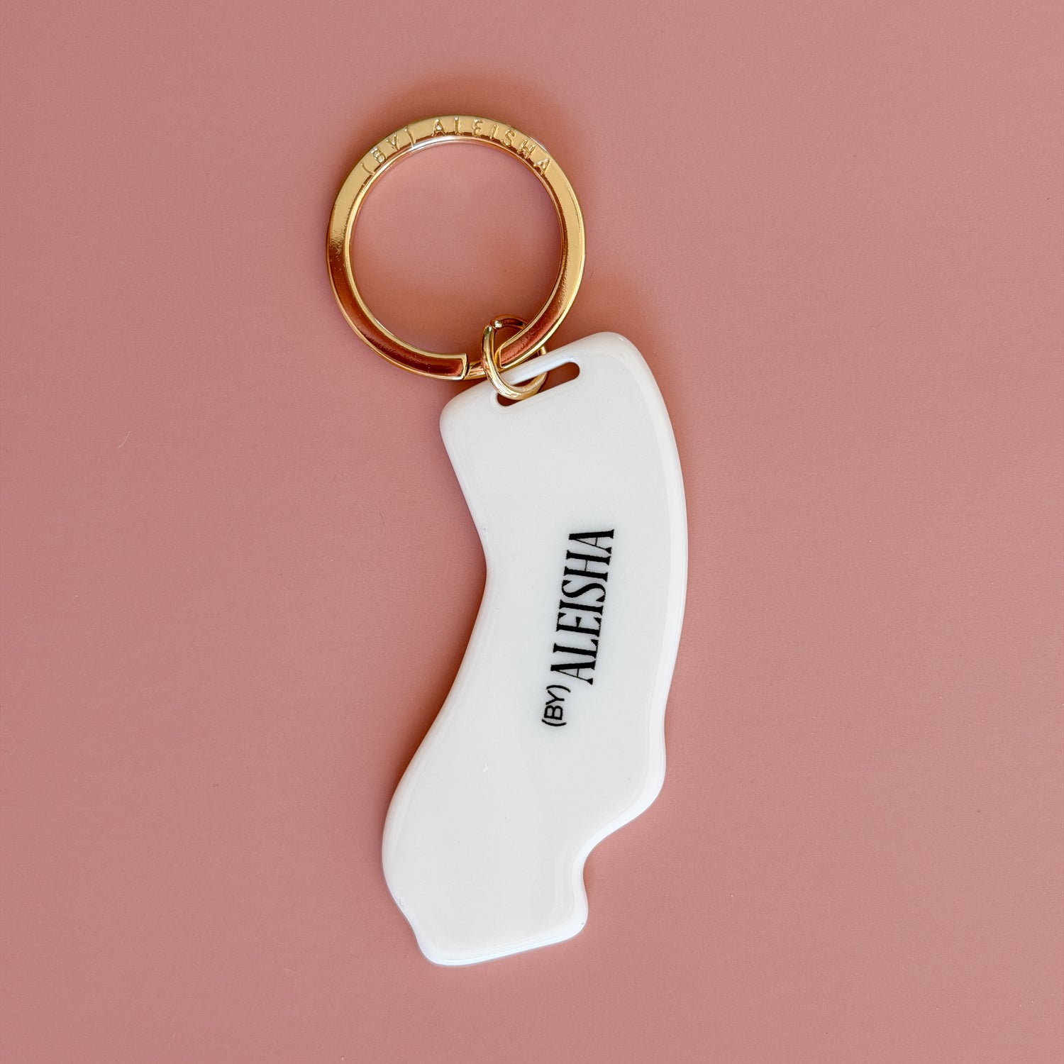 San Francisco California souvenir keychain with gold keyring