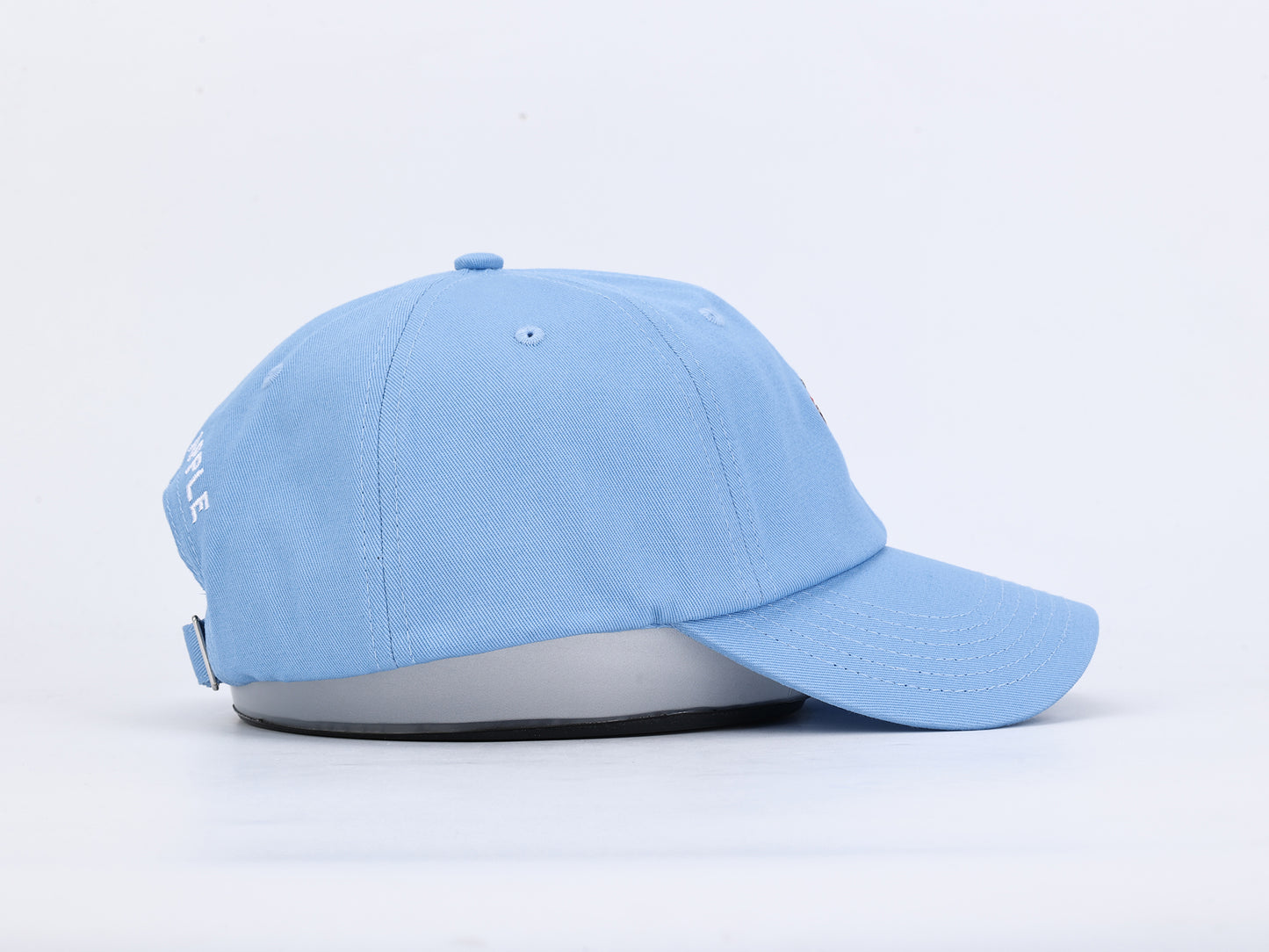 NYC Big Apple Dad Hat
