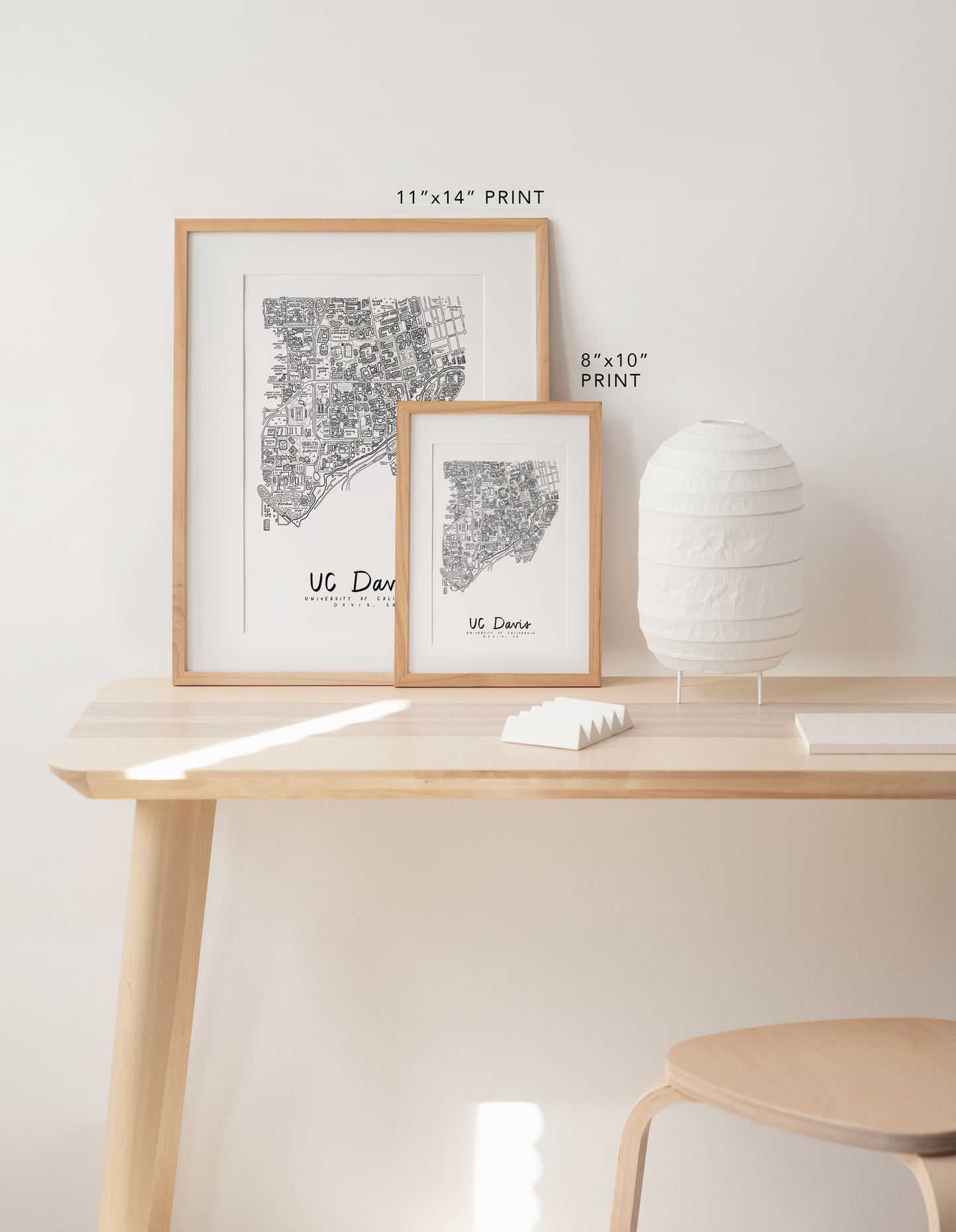 UC Davis Campus Map Print