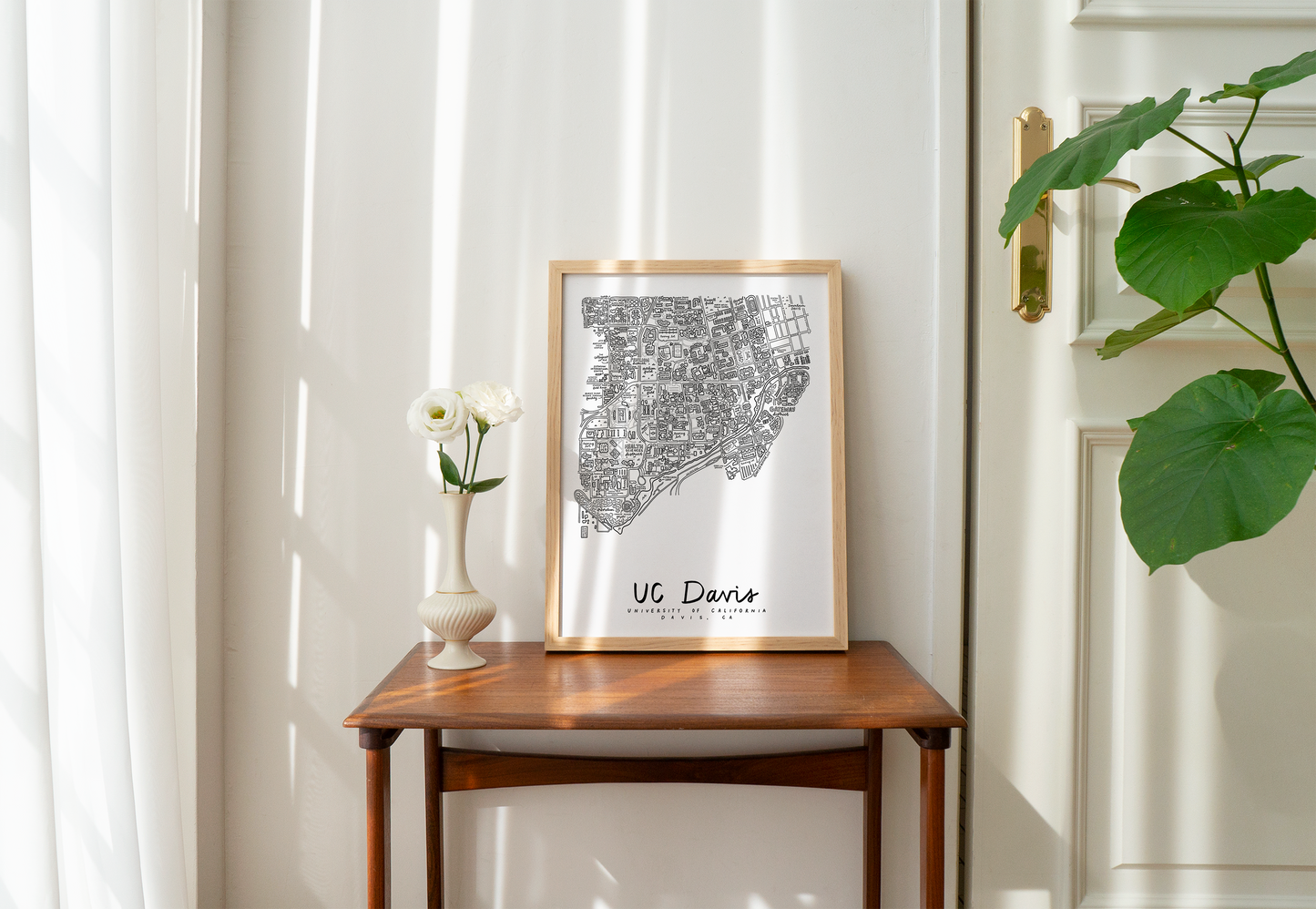 UC Davis Campus Map Print