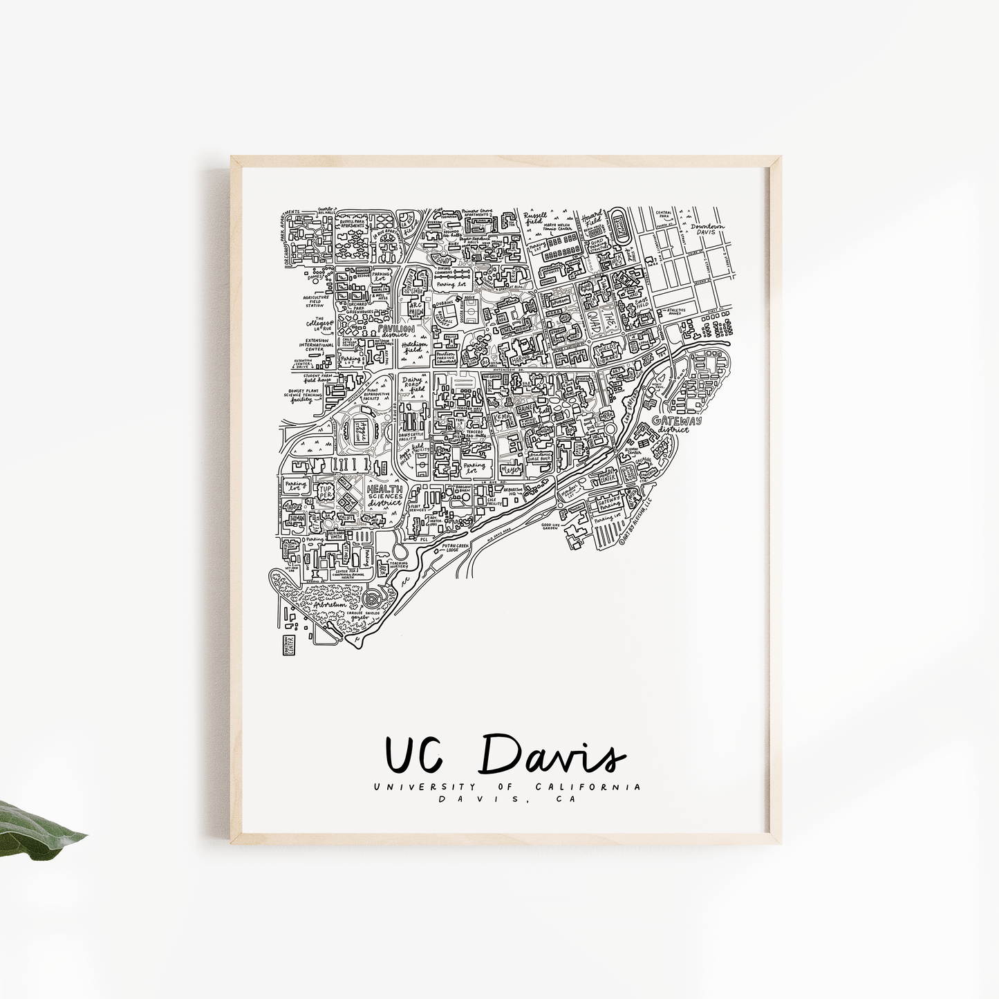 UC Davis Campus Map Print