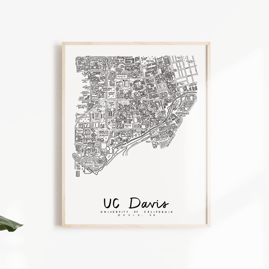 UC Davis Campus Map Print