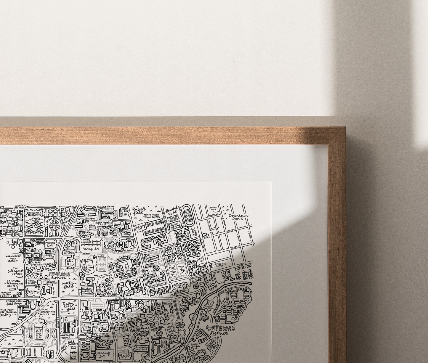 UC Davis Campus Map Print