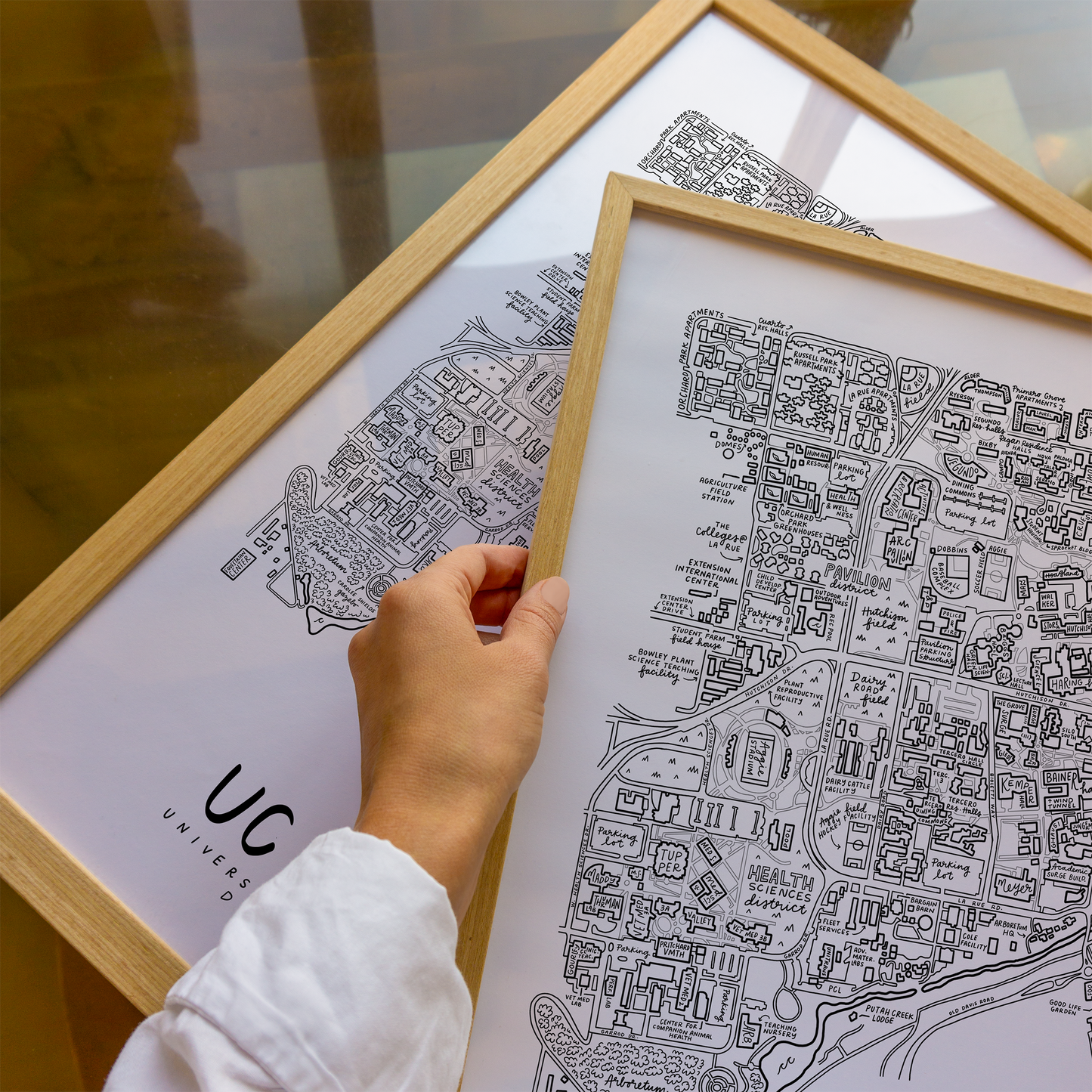 UC Davis Campus Map Print