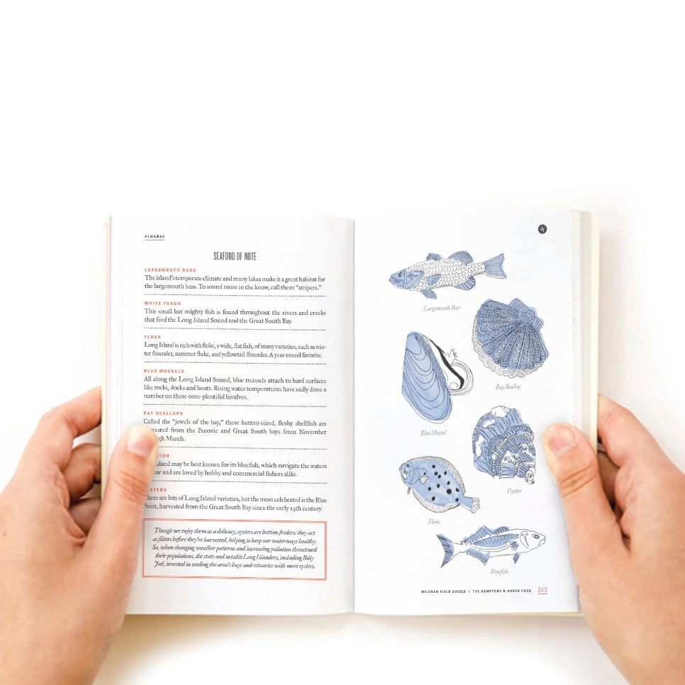 The Hamptons & North Fork Field Guide Book