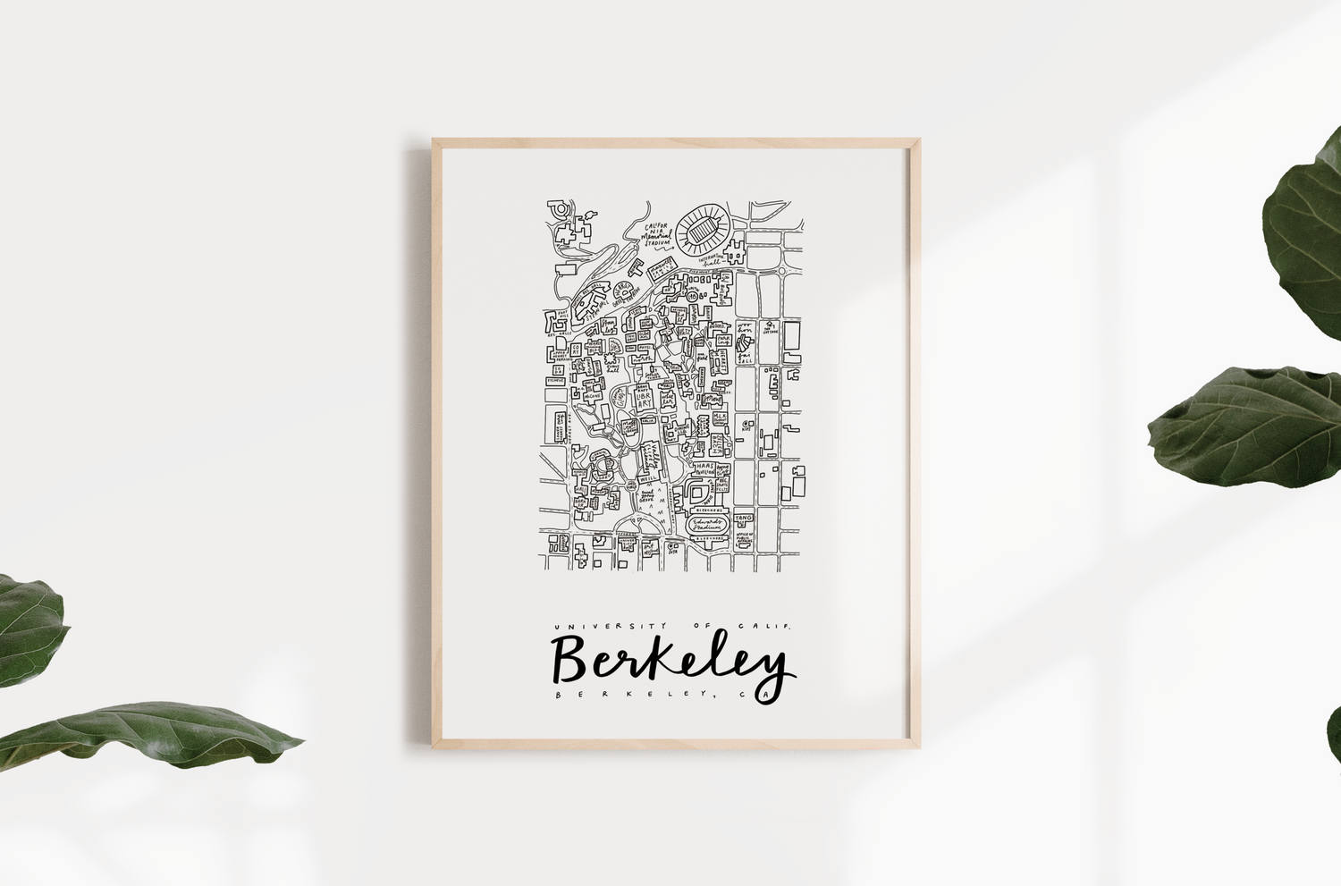 University of California, Berkeley Campus Map Print – (BY) ALEISHA