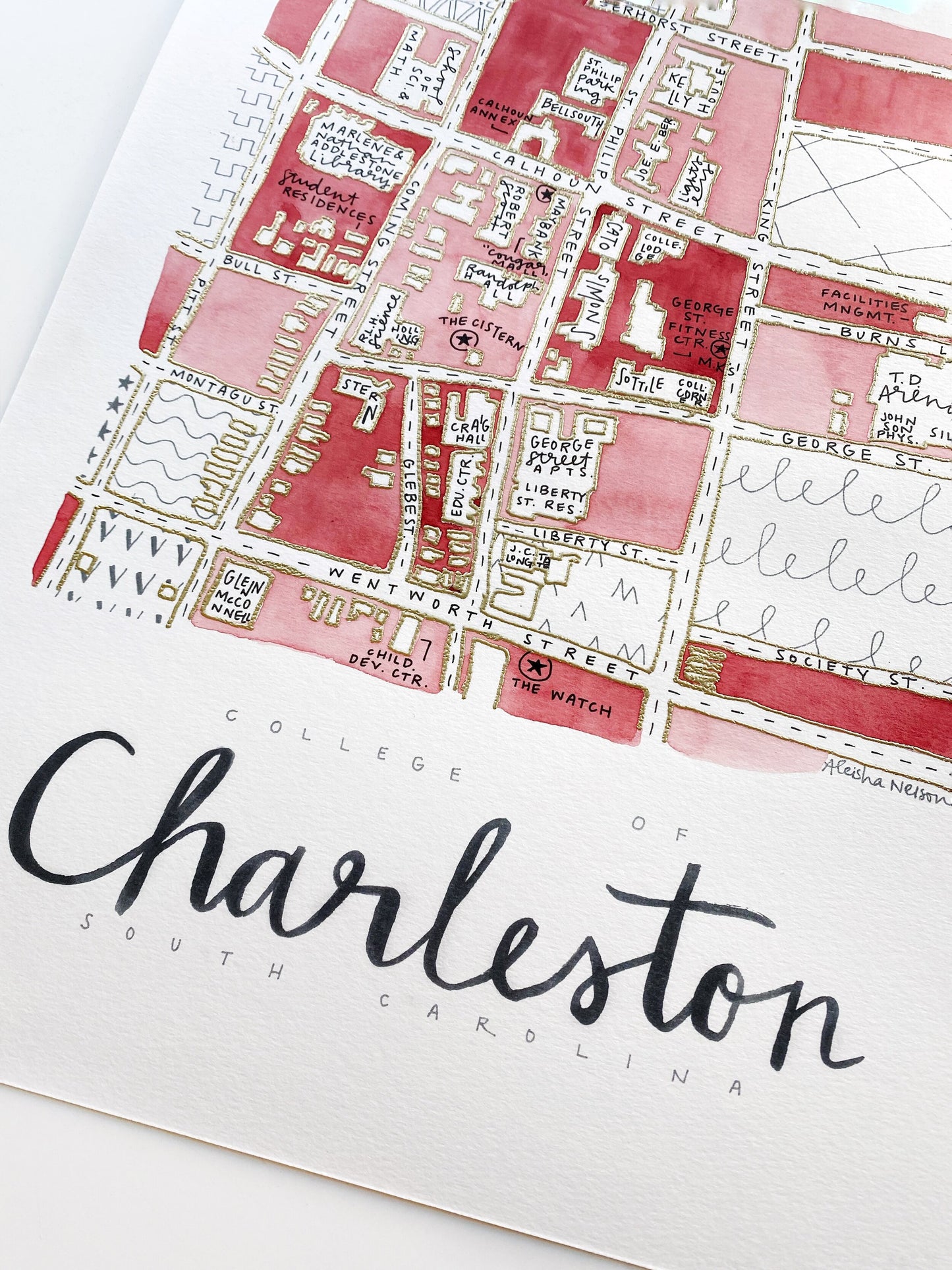 Hand Painted College of Charleston, SC Map