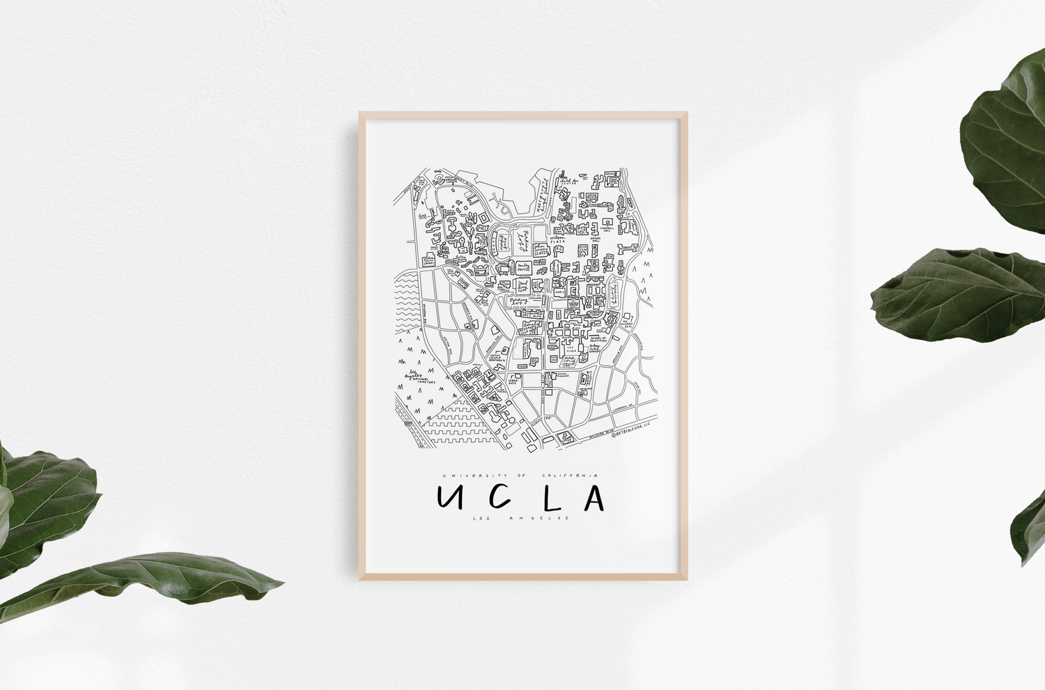 University of California Los Angeles (UCLA) Campus Map Print – (BY) ALEISHA