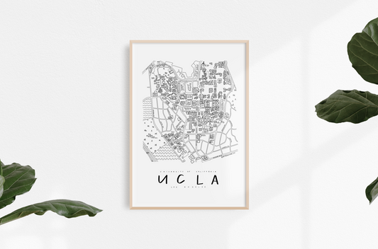 University of California Los Angeles (UCLA) Campus Map Print